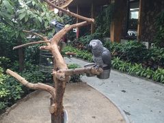 -南宫五洲植物乐园