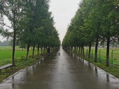 -嘉北郊野公园