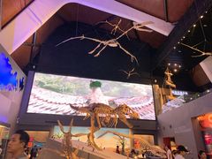 -贝林大翅鲸简餐厅(国家海洋博物馆店)