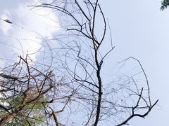 -白鹭湾湿地公园