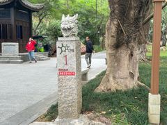 -乡下人家大酒楼(大鳌溪店)