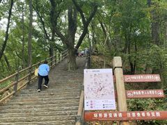-栾川竹海野生动物园