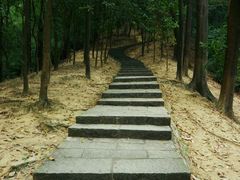-火炉山森林公园