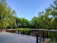 -玲珑塔公园