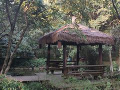 -杭州半山国家森林公园