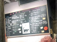 -喵屿·大理花园猫咖