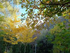 -云蒙山风景区