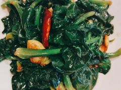 -阿五黄河大鲤鱼(纬三路店)