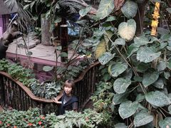 -正佳雨林生态植物园