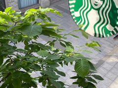 -星巴克(宁波月湖盛园店)