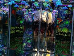 -梵高星空艺术馆(北京旗舰店)