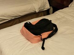 -峨眉山世纪阳光大酒店(峨眉高铁站店)