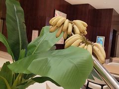 -怡咖啡海鲜自助餐厅(浦东香格里拉店)