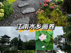 -无锡蠡湖国家湿地公园-蠡园