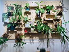 -Rabbit Cafe私房西餐甜点咖啡(栖霞路店)