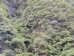 -神农架景区
