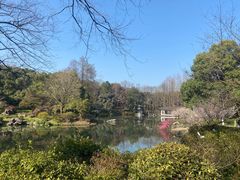 -杭州植物园