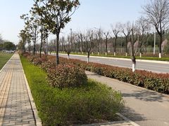 -洨河生态公园