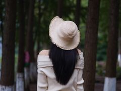 -重庆彩云湖湿地公园