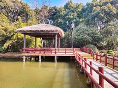 -上海滨江森林公园