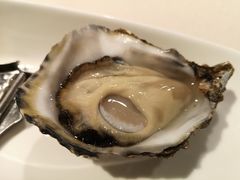 -Oyster Talks 四度蚝法餐厅