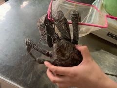 -海盗餐厅