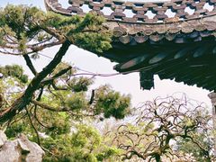 -何园