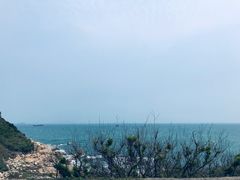-东澳岛