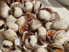 血蛤-华盛丰温州大排档(东三环南路店)