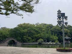 -江心屿景区