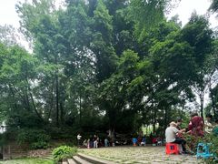 -成都市活水公园