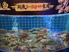 -福禧荟·海鲜自助