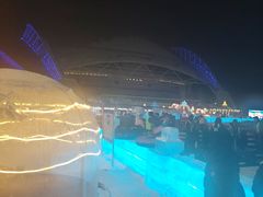 -沈阳奥体冰雪嘉年华