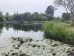 -眉山湿地公园(东坡区)