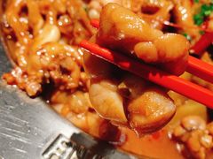 牛蛙煲-胖哥俩肉蟹煲(湖滨银泰in77店)