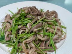 芫爆肚丝-玉林烤鸭店(定福庄店)
