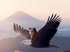 -中国丹阳眼镜城