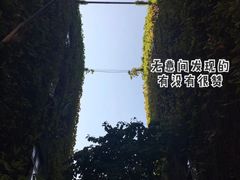 -F518时尚创意园