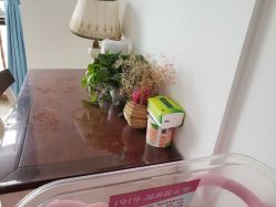 -喜宝悉贝月子会所(锦江店)