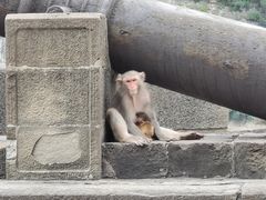 -白帝城·瞿塘峡景区