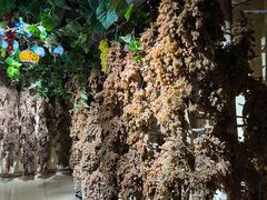 -新疆国际大巴扎