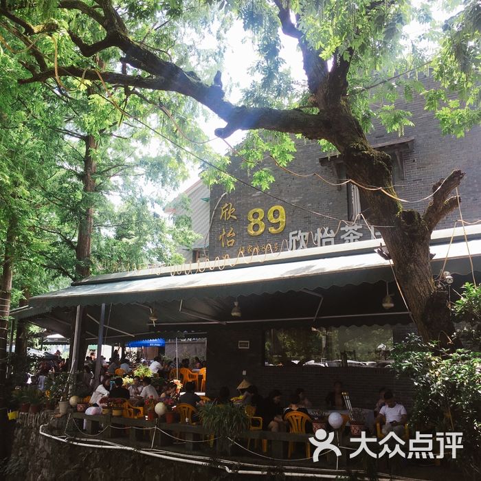 欣怡茶庄·梅家坞自家茶园