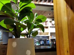 -梵猫·新养生(福州万象城店)
