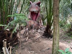 -呀路古热带植物园