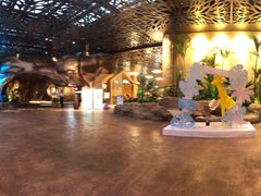 -杭州开元森泊度假乐园