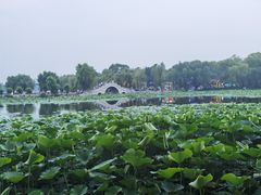 -长春市南湖公园