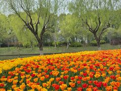-上海鲜花港