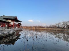 -济南大明湖景区