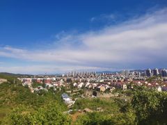 -府君山公园