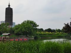 -西海子公园